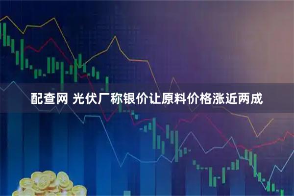 配查网 光伏厂称银价让原料价格涨近两成