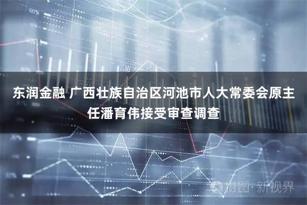 东润金融 广西壮族自治区河池市人大常委会原主任潘育伟接受审查调查